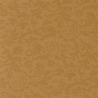 Картон для паспарту g164