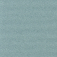 Картон для паспарту w137