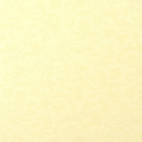 Картон для паспарту g151