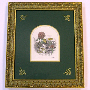 Фигурное паспарту