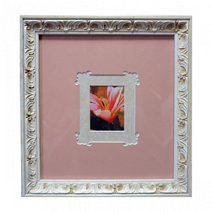 Фигурное паспарту