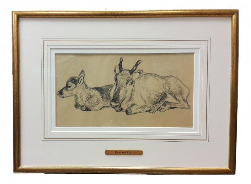 Оформление графики 6